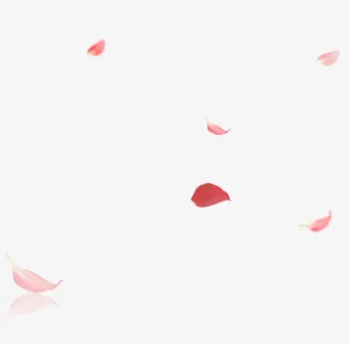 花瓣漂浮免抠