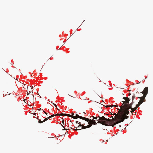 腊梅免抠