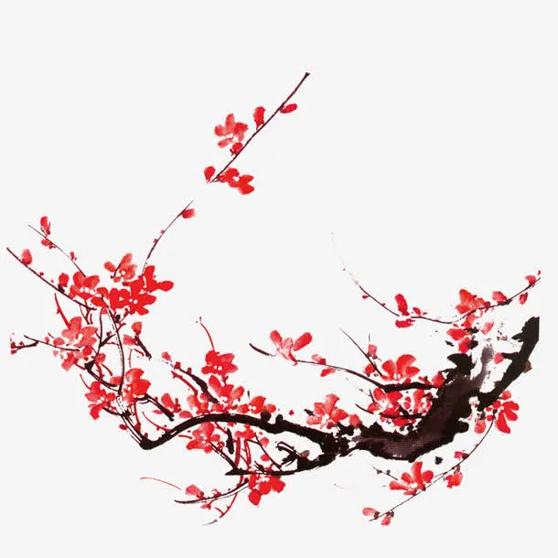腊梅免抠