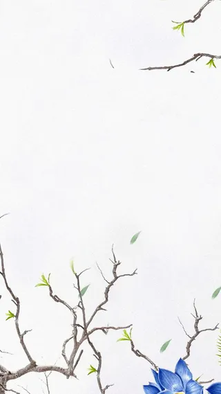 新芽H5背景高清