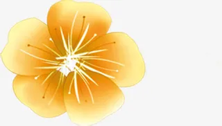 春天缤纷手绘黄色小花免抠