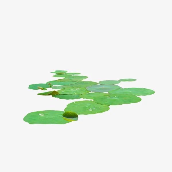 漂浮在水上的荷叶免抠