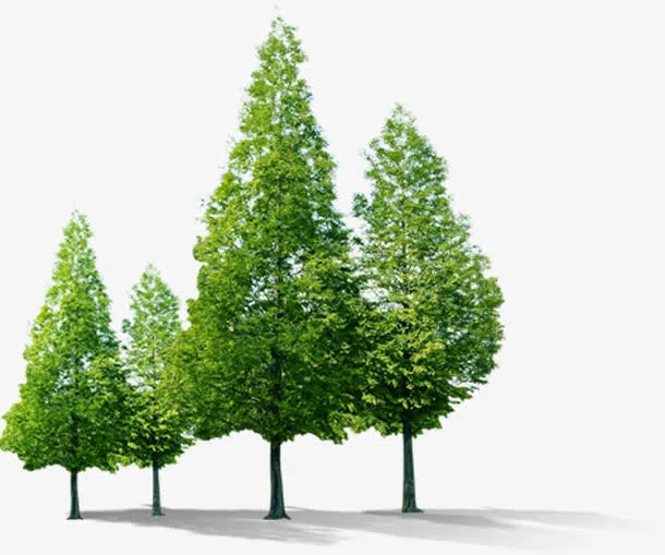 春季乡村清新植物大树风景免抠