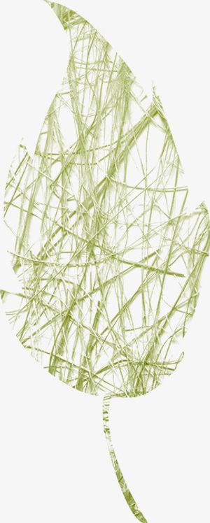 草编素材图片免抠