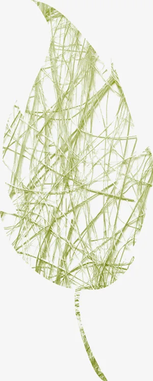 草编素材图片免抠