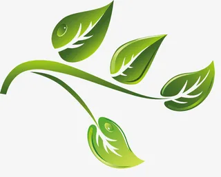 绿色卡通茶树枝矢量素材免抠