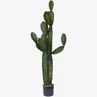 仙人掌盆景免抠