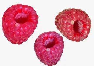 过年糖果软糖免抠