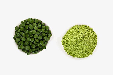 螺旋藻免费下载免抠