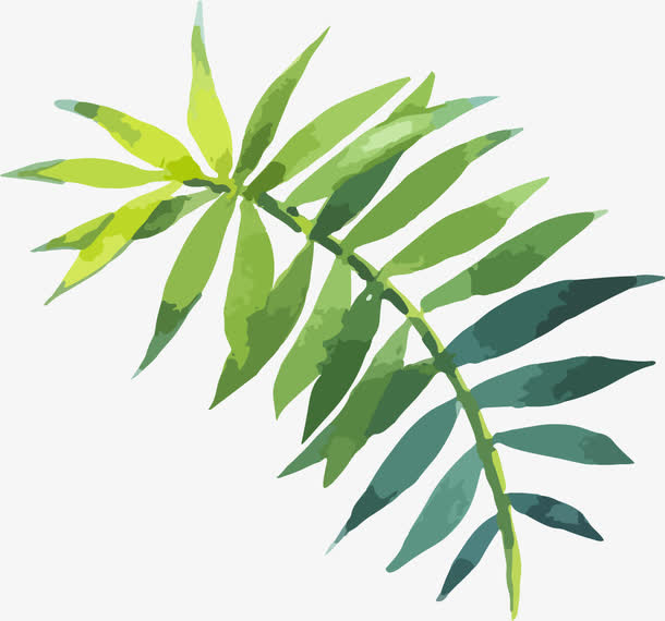 手绘水彩绿叶免抠