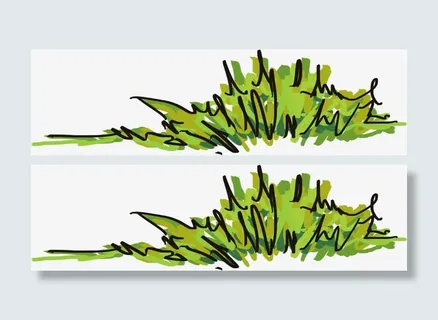 相册手绘小草装饰免抠 相册手绘小草装饰免抠