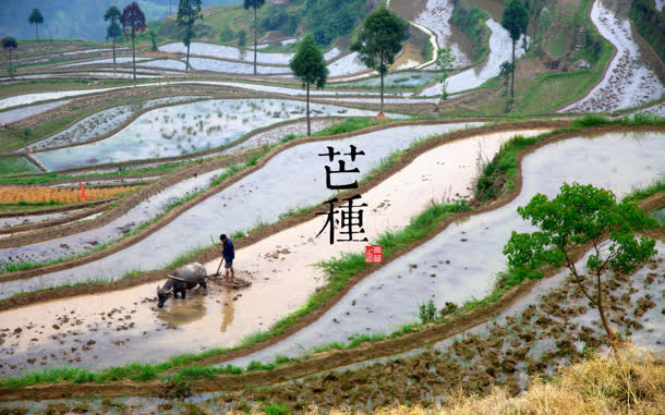 芒种休闲快乐高兴时光免抠