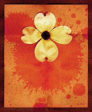 立体花瓣花朵橙色背景素材高清