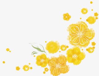 黄色边框花免抠