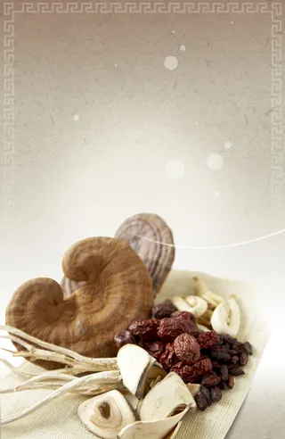 灵芝中药大气背景高清