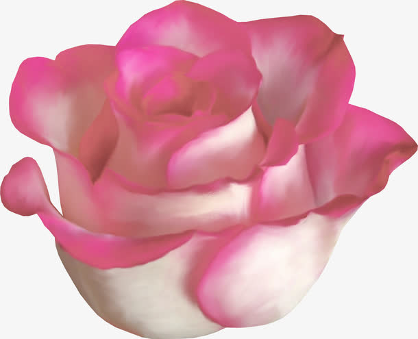 鲜花花草矢量花卉素材免抠