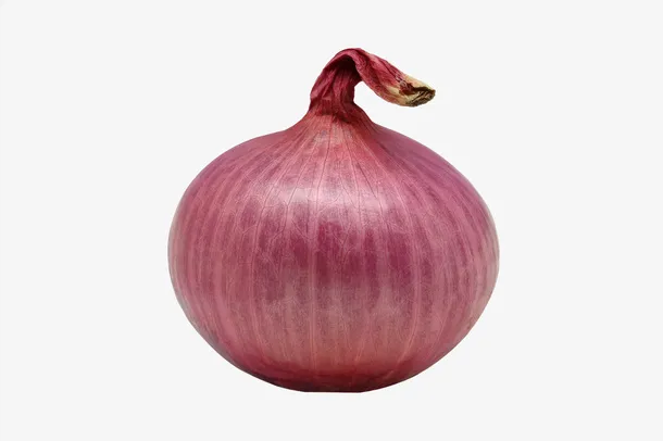紫色蔬菜圆球洋葱头免抠