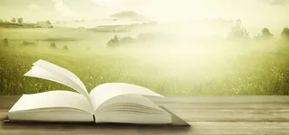 静物背景图高清