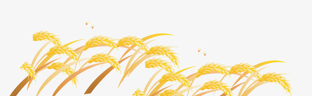 麦穗免抠