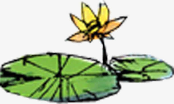 手绘绿色圆形荷叶黄色荷花美景免抠