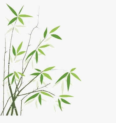 细小的竹子免抠
