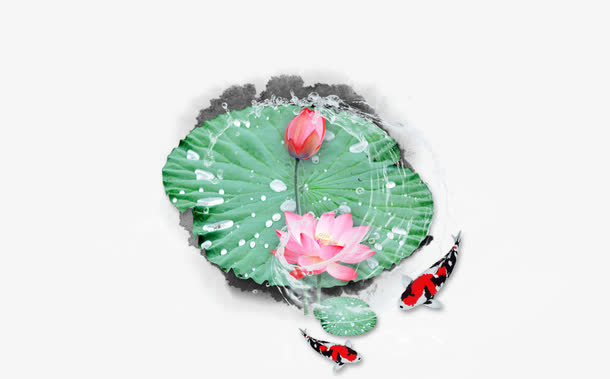 中式鱼戏莲间免抠