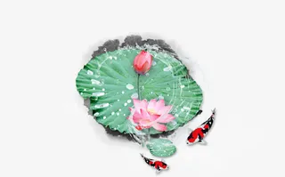 中式鱼戏莲间免抠