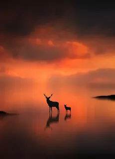 麋鹿创意云朵云层免抠