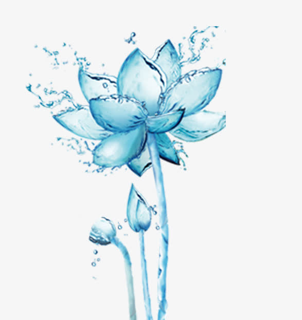 蓝色水莲花免抠