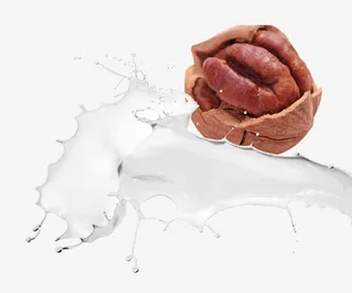 山核桃和牛奶免抠