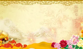 牡丹花背景高清