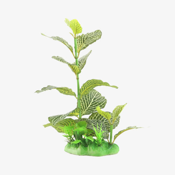 长款后景水草仿真水草免抠