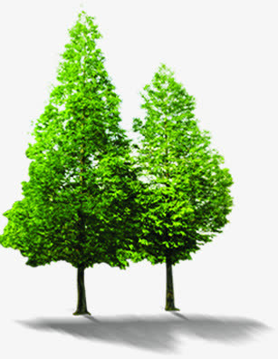 绿树洁净夏日招聘免抠