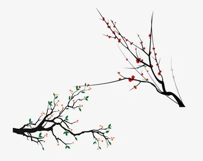 中国寒冬腊梅和花骨朵免抠