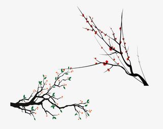 中国寒冬腊梅和花骨朵免抠