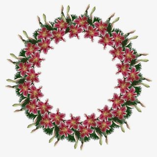 边框剪影手绘边框免抠