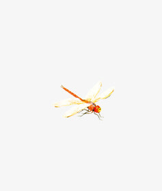 蜻蜓免抠