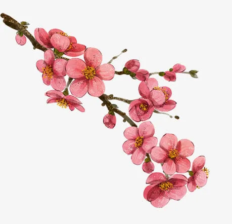 手绘桃花枝元素免抠
