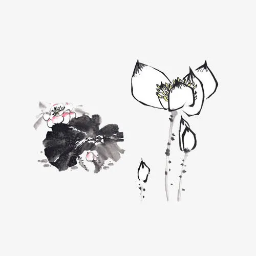 中国画荷花免抠