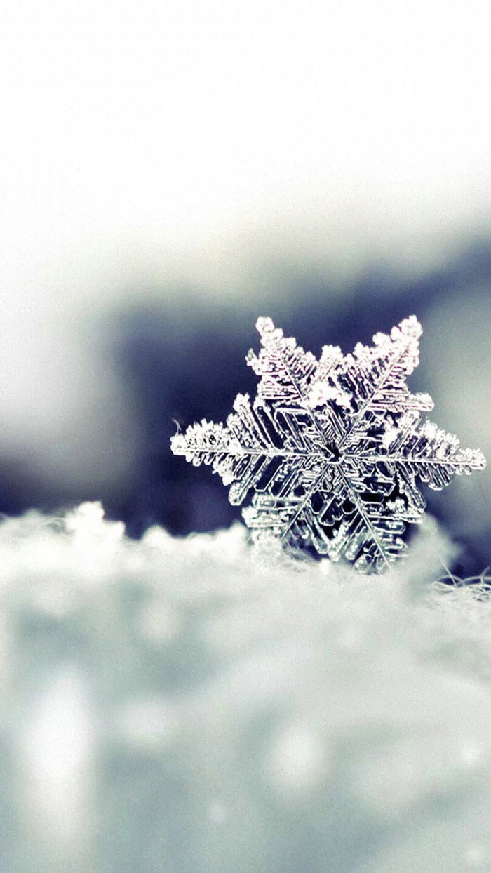 雪花雪结晶背景高清