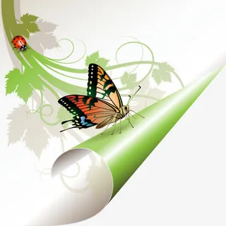 春天精美折角蝴蝶树枝免抠