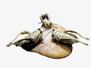 枯叶编制的小动物免抠