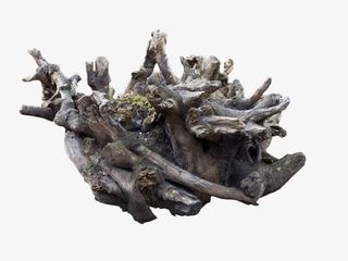 灰白色植物根茎艺术品摆件免抠