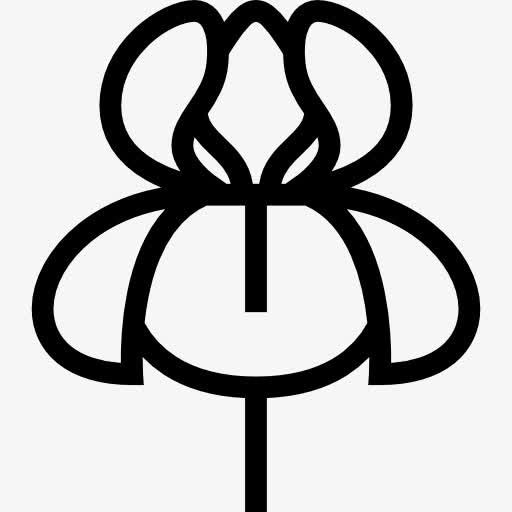 兰花图标免抠
