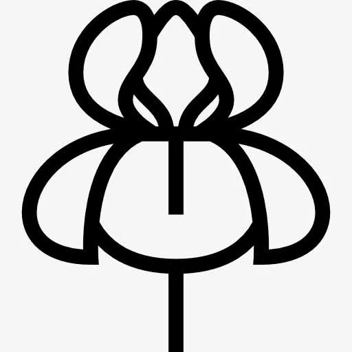 兰花图标免抠