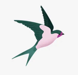 手绘小鸟装饰元素免抠装饰动物元素