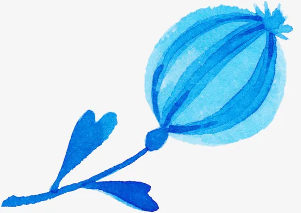 手绘花免抠
