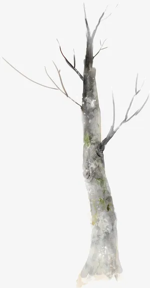 创意手绘水彩植物树干免抠