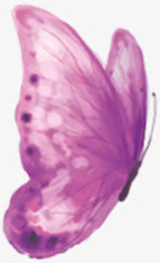 中秋节手绘紫色蝴蝶免抠