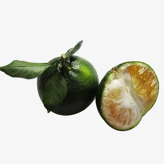 小青柑实物免抠